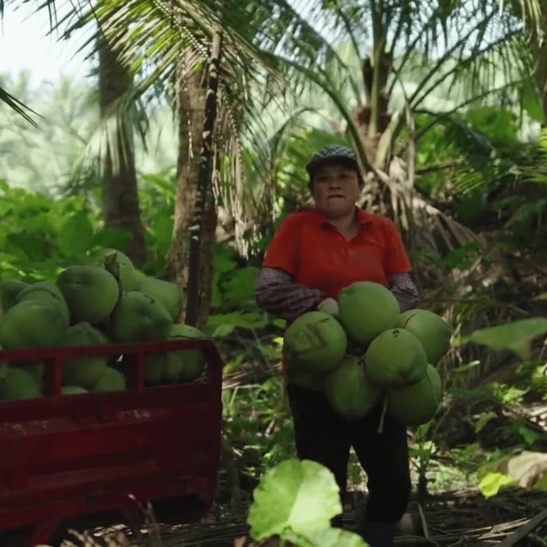 瑞幸生椰拿鐵的故事，初代椰漿原料秘方，企業訂製款  經典爆紅頂級風味