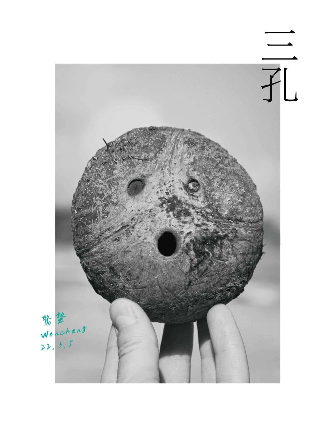 椰說| 三孔 - YEETREE COCONUT