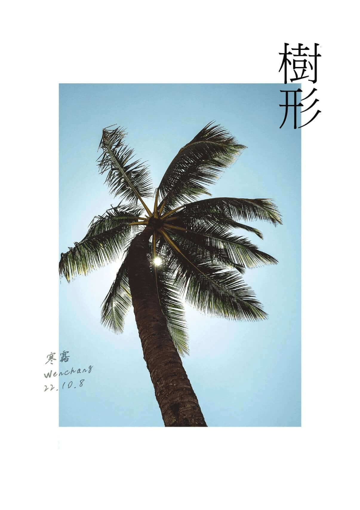 椰說｜樹形 - YEETREE COCONUT