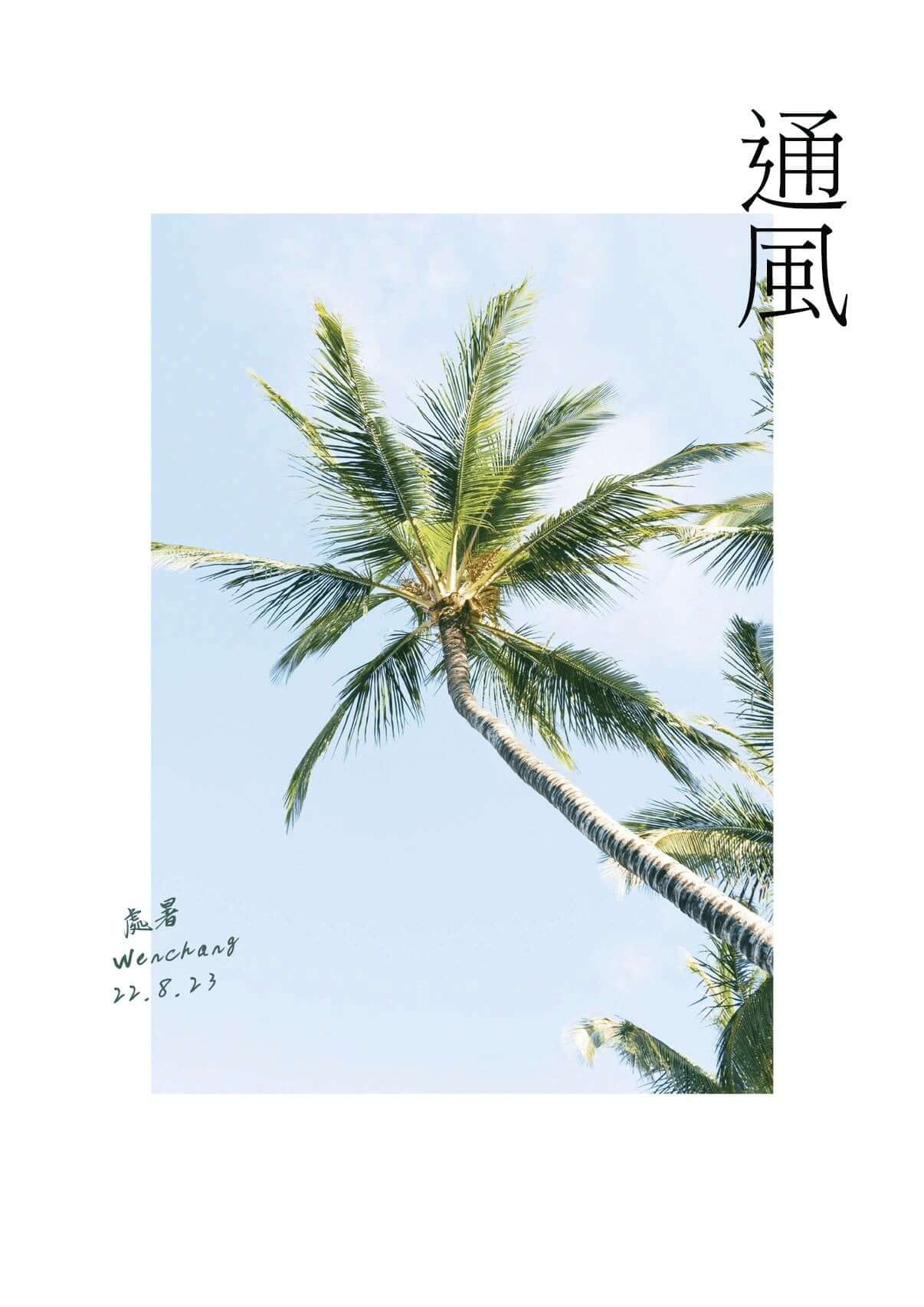 椰說｜通風 - YEETREE COCONUT